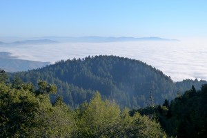 Tam Hills & Fog